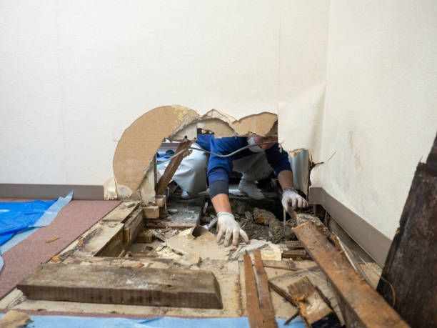 Best Health and Safety Mold Remediation in Whitehorn Cove, OK